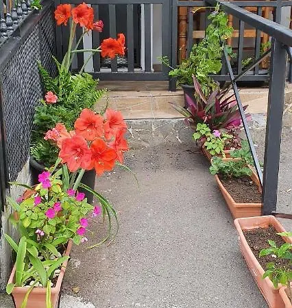 El Puente Apartamento *