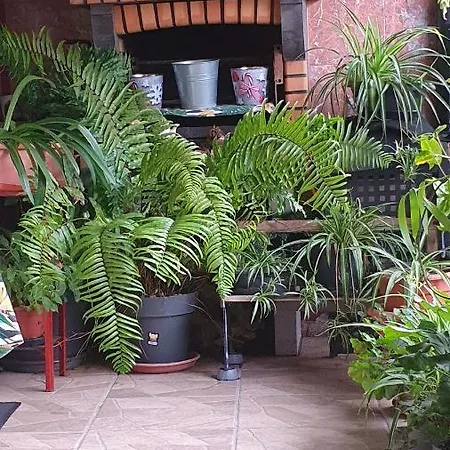 Apartamento El Puente *